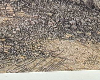 BEV DOOLITTLE SIGNATURE
