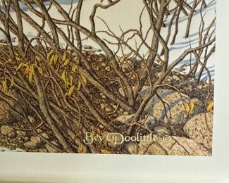 BEV DOOLITTLE