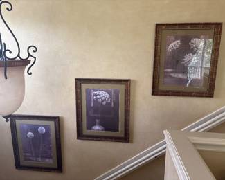 Framed black and white flower prints 38" x 32" x60" -Each $60