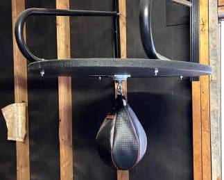Speed Bag Punching Bag, Dumbbells, Weights, Pullup Bar
