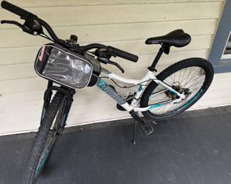 Schwinn Mountain Bike