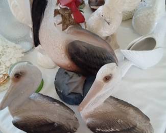 Pelican family