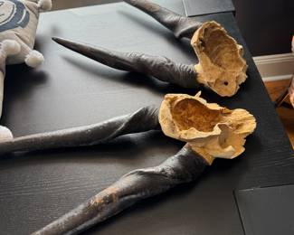 Vintage African game horns
