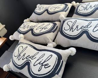 5 ski pillows