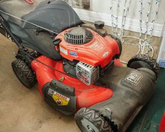 Self-propelled mower