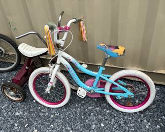 Schwinn Iris Child's Bike