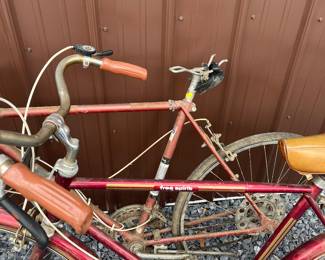 Schwinn Free Spirit Bike