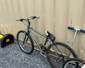 Bicycle/Mountain Bike