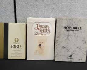 Precious Moments Bible, Holy Bible Amplified, And World Bible King James
