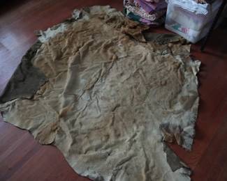 Cowhide, condition unknown