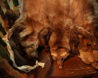 Mink Stoles