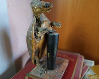 Taxidermy Turtle