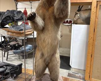 Full Body Bear Mount