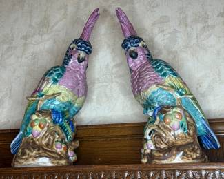Large Cockatoos