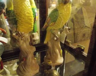 Chelsea House Birds