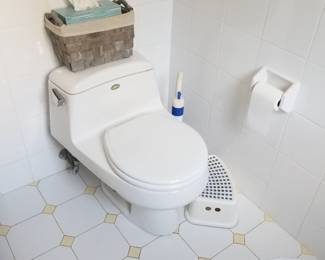 Kohler San Rafael commode