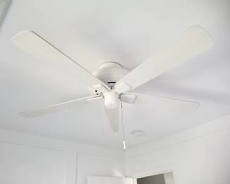 Ceiling fan