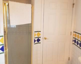 Shower door