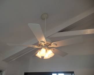 Lighted ceiling fan