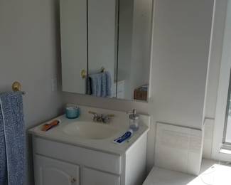 Bath vanity; mirrored medicine cabinet; vanity light