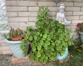 Second of the soft green pot with plants, garden girl standing on aqua pot