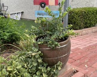 Big brown pot with plant