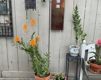 Metal wall art,plants
