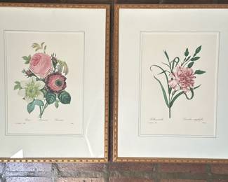 (2pc) After Pierre Joseph Redoute (French, 1759-1840) Bookplates - 1/2 | Two botanical watercolor illustrations/bookplates from Pierre Joseph Redoute's famous work for Marie-Antoinette, "Les Choix des Plus Belles Fleurs" (The Most Beautiful Flowers):
"Pervenche" (Madagascar Periwinkle); pale pink flowers
"Fleurs de Pommier" (Apple Blossoms); white flowers
Bookplate (likely reproduction)
Framed in gold frame and matted - h. 19.5 x w. 16 in