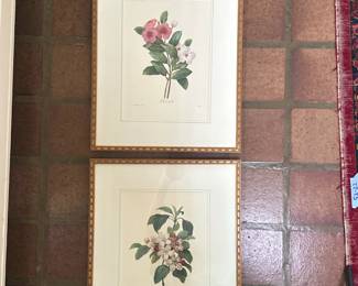 (2pc) After Pierre Joseph Redoute (French, 1759-1840) Bookplates - 1/2 | Two botanical watercolor illustrations/bookplates from Pierre Joseph Redoute's famous work for Marie-Antoinette, "Les Choix des Plus Belles Fleurs" (The Most Beautiful Flowers):
"Pervenche" (Madagascar Periwinkle); pale pink flowers
"Fleurs de Pommier" (Apple Blossoms); white flowers
Bookplate (likely reproduction)
Framed in gold frame and matted - h. 19.5 x w. 16 in