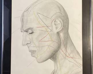Acupuncture Diagram Pencil Sketch Signed