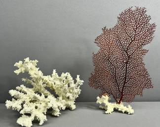 Natural White Lace Coral & Dried Ocean Fan