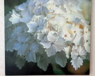 63 WhiteHydrangeaWrapAroundPrintonCanvas