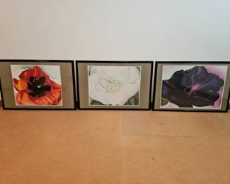 55 SetOf3LargeFramedMattedGeorgiaOKeeffePrints
