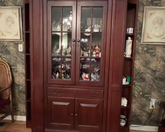 BOOKSHELF/CURIO