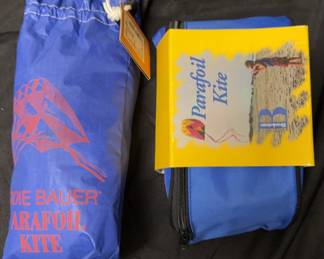 Lot Of Two Paranoid Kites Eddie Bauer , Brookstone