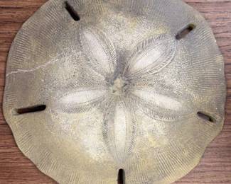 Artificial Sand Dollar Wall Hanging
