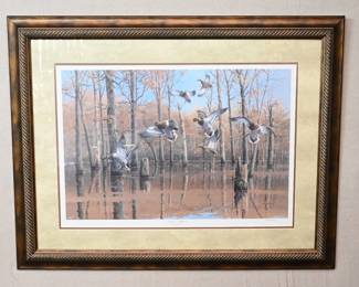 Ducks Unlimited
