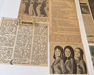 NFS News paper article about Group 'The Golden Sisters'