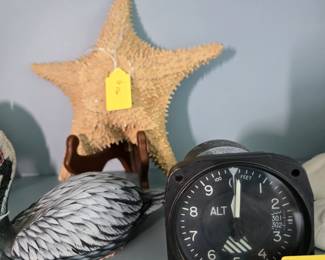 VTG Altimeter, Dried Starfish,