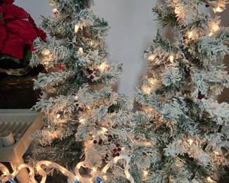 Frocked Christmas Trees
