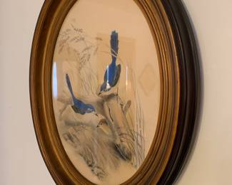 Pair of oval bird portraits