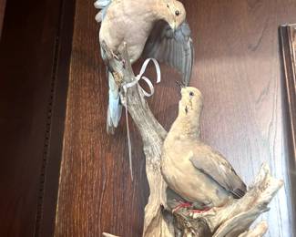 Trophy Room Game Mounts