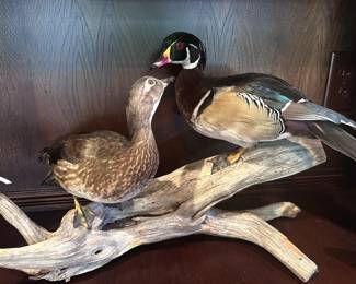 Trophy Room Game Mounts