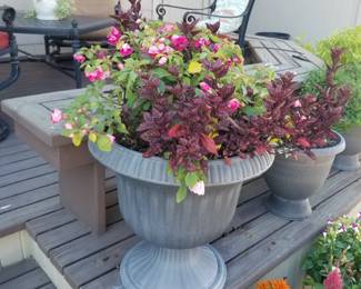 Potted plants
