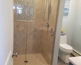 Glass shower door