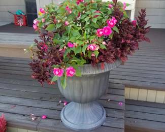 Potted plants