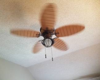 Lighted ceiling fan