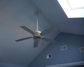 Lighted ceiling fan