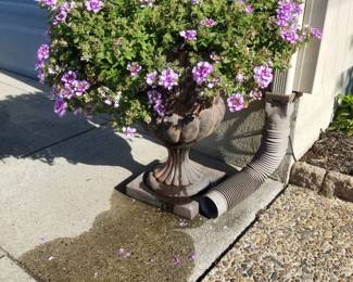 Potted urns