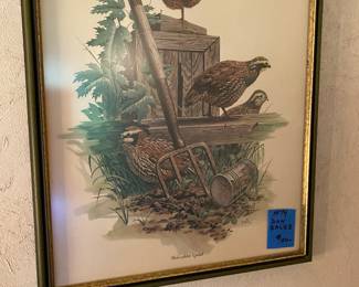 Don Balke, 1974 Bobwhite Quail